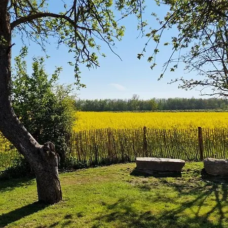 „backhuus“ - Hof Muehlenkoppel Hasselberg (Schleswig-Holstein)
