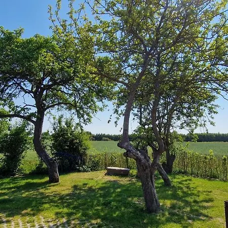Apartment „backhuus“ - Hof Muehlenkoppel Hasselberg (Schleswig-Holstein)