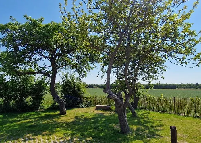 Appartement „backhuus“ - Hof Muehlenkoppel Hasselberg (Schleswig-Holstein)